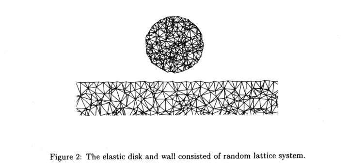 Figure 2: The elastic disk and wall consisted of random lattice system.