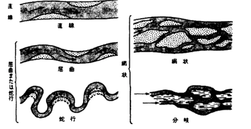 図 1: 河川の流れ様式の模式図 河川の流れ様式で典型的な蛇行 ( 左図 ) と網状流 (右図)。 これらの形態は流量、 傾斜角、 土砂の性質などにより決定されることがわかっているが、 形成のメ カニズ\Delta は明らかになっていない。 図 2: 実際の河川の典型的な流れ様式 河川の流れ様式で典型的な蛇行 ( 左図 ) と網状流 (右図)。 これらの形態は流量、 傾斜角、 土砂の性質などにより決定されることがわかっているが、 形成のメ カニズムは明らかになっていない。 194