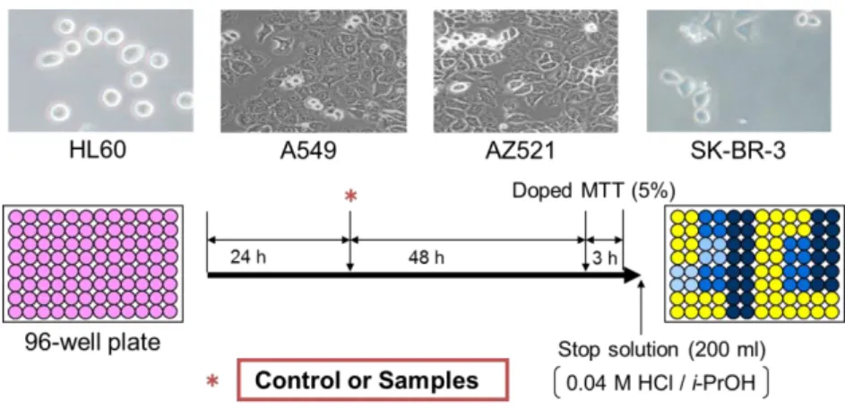 Figure 2-10. Outline of cytotoxicity assay. 