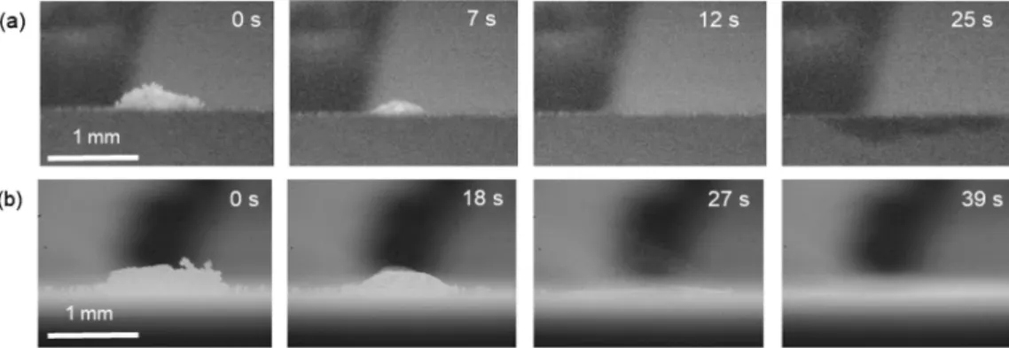 Fig. 4　 Cross-sectional observation results after the sessile  drop test for liquid CsIO 3  on polycrystalline UO 2