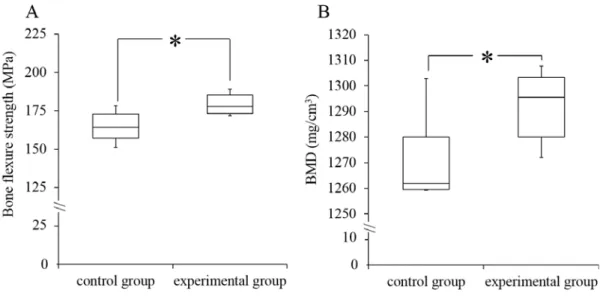Figure 6: Between group differences in bone mechanical strength and BMD. 
