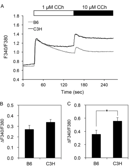 Fig.  1.1    Comparison  of  Ca 2+   responses  in  submandibular  gland  cells  of  C3H  and  B6