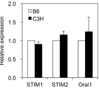 Fig.  1.2  Comparison  of  expression  levels  of  SOCE-related  genes  between  the  two  strains