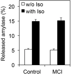 Fig. 2.4 Response of cultured acinar cells to β-adrenergic stimulation.   