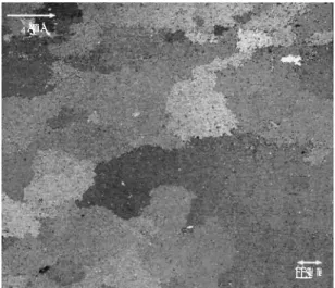 Fig. 9 The change of iron loss after the removal of coating by picking