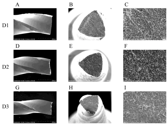 Fig. 4 Protaper Retreatment instrument (after time to fracture) 