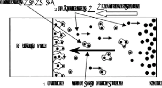 Fig. 2 Illustration of the cross section in the interface between strip and roll