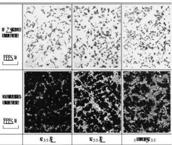 Fig. 6 Comparison of barrel profile on Super HSS roll and con- con-ventional HSS-2 roll
