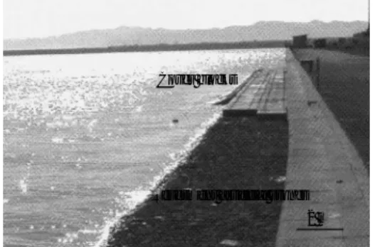 Fig. 8 pH variation of seawater of construction zone
