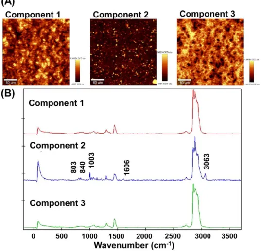 Fig. 4 (A)  共焦点ラマン分光法による Almeta ® 軟膏の X-Y 走査イメージング 