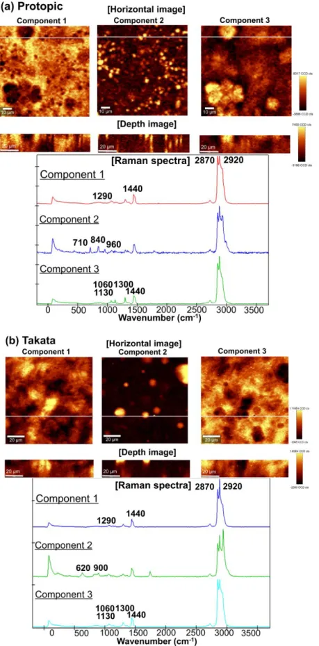 Fig. 9  共焦点ラマン分光法による  (a) Protopic および  (b) Takata のイメージング 