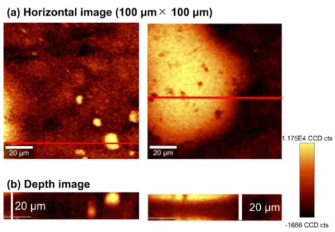Fig. 13 AFVo 中液滴の共焦点ラマンイメージング  (a) X-Y 平面および  (b)  深さ分析 