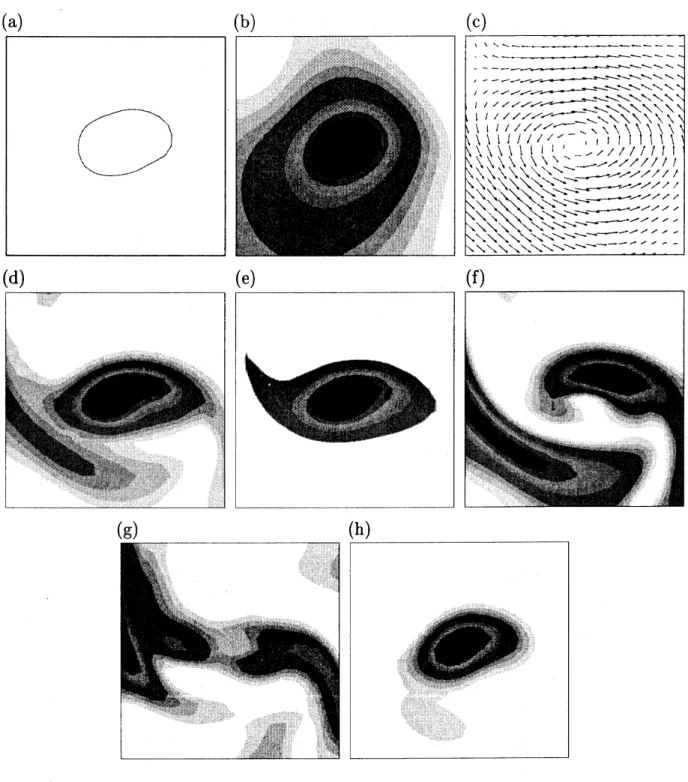 図 2: 渦軸に垂直な面内での物理量の分布. (a) 渦芯境界 , (b) 圧力分布, (c) 渦軸に対する 相対速度ベクトル , (d) 渦度 , (e) 渦軸に平行な渦度成分 , (f) 渦軸に垂直な渦度成分 , (g) エネルギー散逸率, (h) 圧力のラプラシアン 