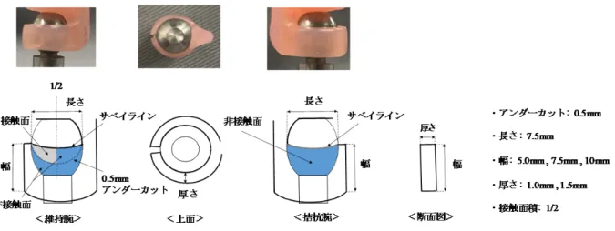 Fig. 3 維持力を考慮したノンメタルクラスプのデザイン