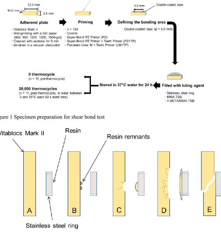 Figure 1 Specimen preparation for shear bond test
