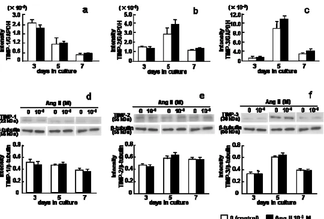 Fig. 3. Effect of Ang II on TIMP expression. ROS17/2.8 cells were cultured in six-well  plates with 0 (control) or 10 –6  M Ang II for up to 7 days, and the (a) TIMP-1, (b)  TIMP-2, and (c) TIMP-3 mRNA levels on days 3, 5, and 7 of culture were determined 