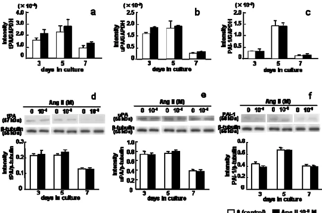 Fig. 4. Effect of Ang II on PAs and PAI-1 expression. ROS17/2.8 cells were cultured in  six-well plates with 0 (control) or 10 –6  M Ang II for up to 7 days, and (a) tPA, (b) uPA,  and (c) PAI-1 mRNA levels on days 3, 5, and 7 of culture were determined by