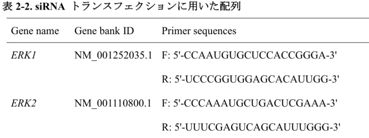 表 2-2. siRNA  トランスフェクションに用いた配列 