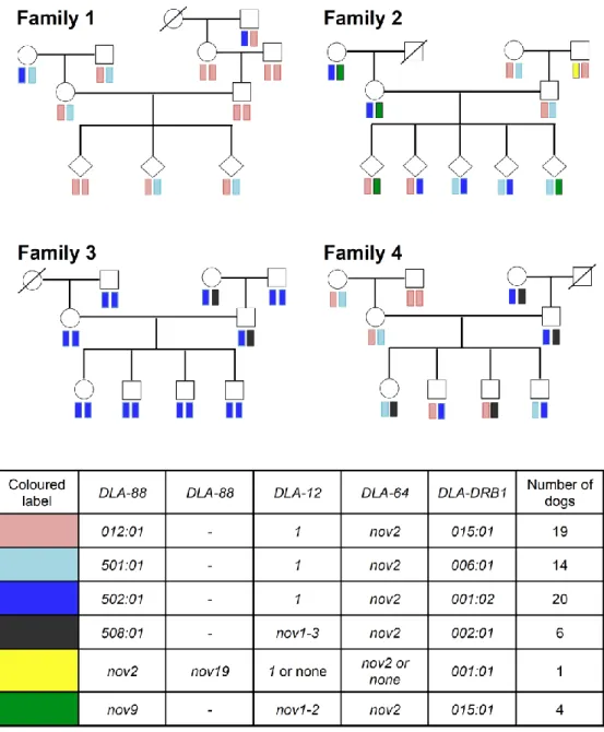 Figure 3. Inheritance of DLA-class I haplotypes based on DLA-class I cDNA analysis in four  beagle families
