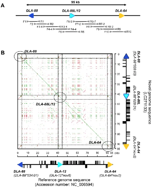 Figure  4.  Genomic  comparison  of  DLA-class  I  segments  by  dot-matrix  analysis