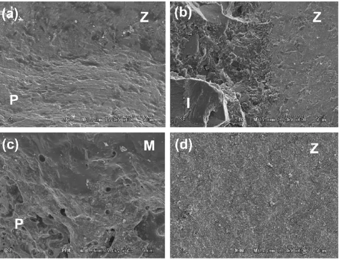 Fig. 6.  Representative SEM images after fracture resistance testing (original magnification 