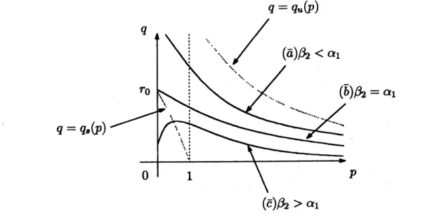 Figure 6: $(p,q)$ -line satisfying $\hat{H}(p,q)=\mathrm{t}\mathrm{m}$ A