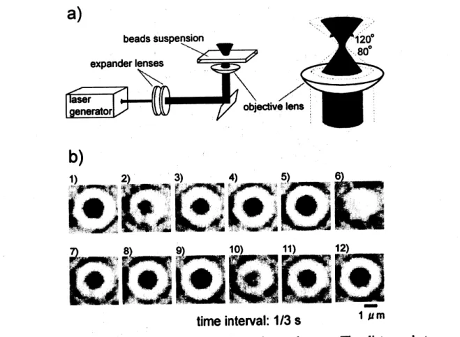 FIG 1. (a) Schematic representation of the experimental setup. The distance between the expander lenses was adjusted so as to decrease the focusing cone angle, $ca$ 