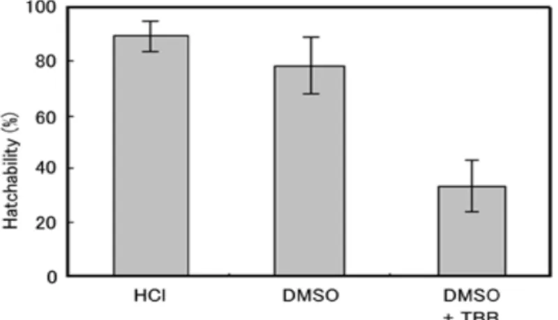 図 4   HCl処理とDMSO処理の比較およびDMSOに溶解した化学物質が孵化率に与える影響 