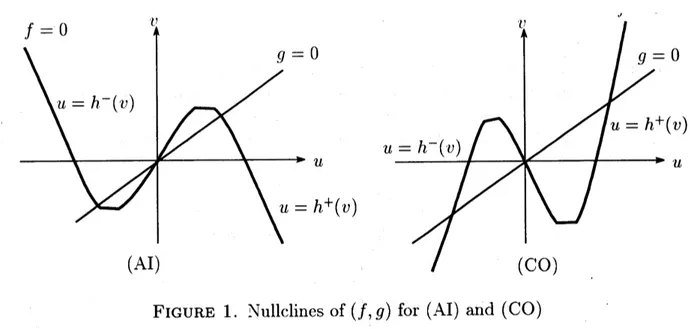 FIGURE 1. Nullclines of $(f, g)$ for (AI) and (CO)