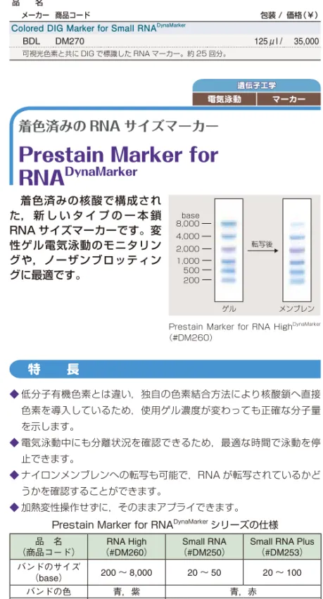 図 2：DIG 標識 DNA プローブを用いたノーザンハイブリダイゼーションによる，total  RNA 中からの各種 miRNA の検出 抗体：アルカリホスファターゼ修飾抗 DIG 抗体 基質：CDP-Star  ®    ＊ ＊   CDP-Star  ®  は Life Technologies 社の登録商標です。 品  名   メーカー 商品コード 包装 / 価格（￥）