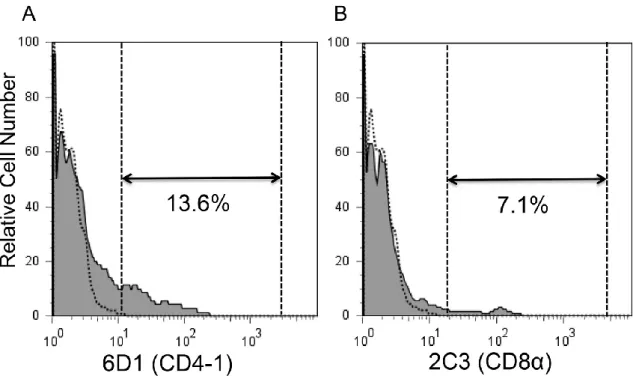 図 1   抗ギンブナ CD4-1 または CD8 α抗体とゼブラフィッシュ腎臓リンパ球と の交差反応。  ゼブラフィッシュ腎臓白血球を一次抗体として抗ギンブナ CD4-1 または抗ギン ブナ CD8α抗体で染色し、続いて二次抗体として Alexa Fluor® 488 標識  抗ラッ ト IgG(H ＆ L) で染色した。死細胞（ PI 陽性細胞）を除いた後、腎臓白血球を FSC と SSC ドットプロット上に展開し、リンパ球分画（FSC low 、 SSC low ）における抗 体陽性細胞を表示した。点