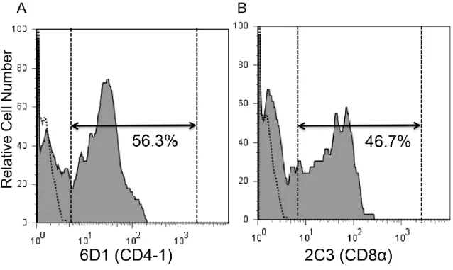 図 2  抗ギンブナ CD4-1 または CD8α抗体とゼブラフィッシュ胸腺リンパ球と の交差反応。 ゼブラフィッシュ胸腺白血球を一次抗体として抗ギンブナ CD4-1 または抗ギン ブナ CD8 α抗体で染色し、続いて二次抗体として Alexa Fluor® 488 標識 抗ラッ ト IgG(H＆L)で染色した。死細胞（PI 陽性細胞）を除いた後、腎臓白血球を FSC と SSC ドットプロット上に展開し、リンパ球分画（ FSC low 、 SSC low ）における抗 体陽性細胞を表示した。点線はアイソタ