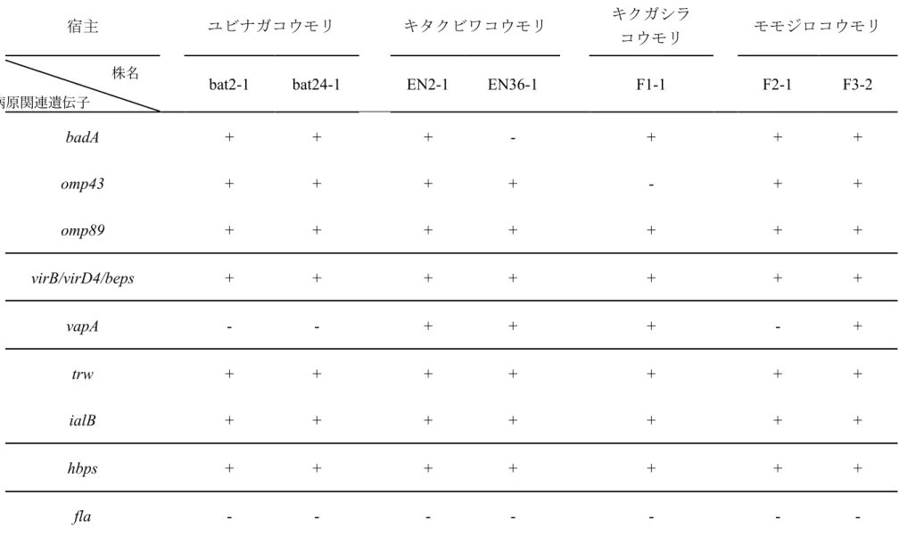表 4.5  本研究で解析したコウモリ由来株の病原関連遺伝子の保有状況 