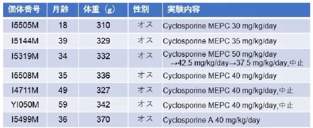 表 7  シクロスポリン腎症モデルに使用したコモンマーモセットの実験内容  5-1-2)UUO 水腎症モデル  表 8 に UUO 水腎症モデル作製に使用したコモンマーモセット（I5414M） の実験内容を示す。UUO 水腎症モデルでは、基本飼料となるマーモセット専 用飼料 CMS-1M を与えたため、飼料の摂取に問題はなかった。また、体重減 少や衰弱などの有害事象もなく実験終了まで遂行できた。UUO 3 週間施行後 の腎組織では、UUO 側に間質を中心とした線維化を確認し、GIS、TIS も高 い傾向にあ