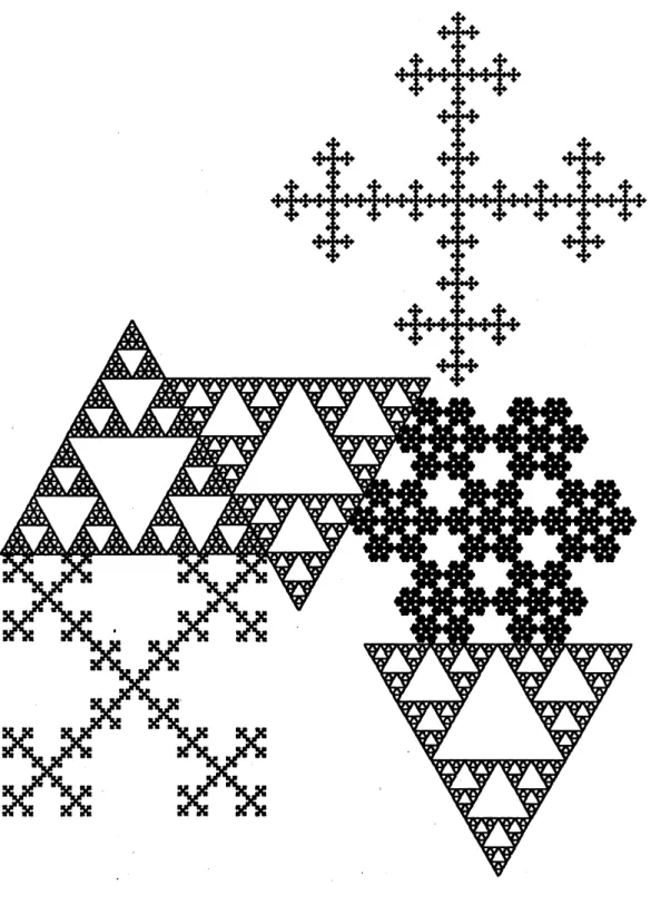 Figure 2: An example of the fractal fiel $\mathrm{d}$