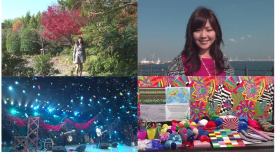 図 6.8    各テスト動画シーケンスの 1 枚目の画像（左上： Red leaves (pan up)，右上： Woman  at harbor (circle dolly)，左下：Studio concert (confetti)，右下：Colorful world A） 