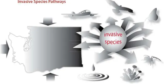 Figure 1: Invasive Species Pathways for Introduction (WISC, 2008) 