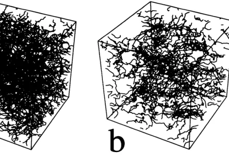 図 2: $(\mathrm{a})t=\mathrm{O}\mathrm{s},(\mathrm{b})t$ $=90\mathrm{s}$ のときの渦