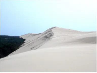 図 1.2.5  バルハン砂丘（Dune du Pyla, France）  風向 標高低 高 図 1.2.6  砂丘再現モデルの計算結果  1.3  研究目的と本研究の特徴  本研究では， BG モデルの基本に立ち返り，寄せ波時と引き波時の砂移動を別々に扱う方式 を採用するとともに，新たにセルオートマトン法を導入し，隣接するセルを越えた離れた位置 への砂の移動が再現可能な海浜変形予測モデルを開発することを目的とする．  セルオートマトン法を用いた海浜変形予測モデルを構築するにあたり，各セルからの砂の移 動