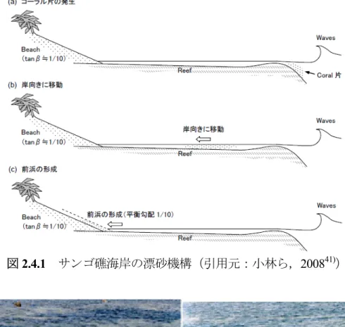 図 2.4.1  サンゴ礁海岸の漂砂機構（引用元：小林ら，2008 41) ） 