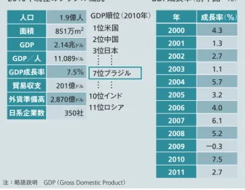 図 2 │ ブラジル国内における主要取り扱い製品