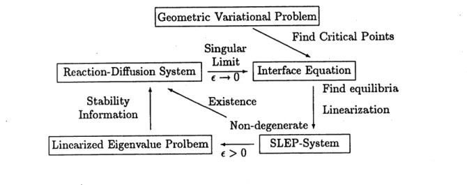 FIGURE 3. Non-degenerate equilibra of the interface equations give rise to transition layer solutions of reaction-diffusion system and their stability properties are completely determined by SLEP-system.