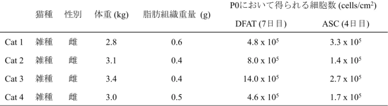 表 1. P0 に お い て 得 ら れ る DFAT お よ び ASC の 細 胞 数 ⊧✀ ᛶู య㔜  (kg)  ⬡⫫⤌⧊㔜㔞 (g)  P0 ࡟࠾࠸࡚ᚓࡽࢀࡿ⣽⬊ᩘ  (cells/cm 2 )  DFAT (7 ᪥┠ )  ASC (4 ᪥┠ )  Cat 1 㞧✀ 㞤 2.8 0.6   4.8 x 10 5 3.3 x 10 5 Cat 2 㞧✀ 㞤 3.1 0.4   8.0 x 10 5 1.4 x 10 5 Cat 3 㞧✀ 㞤 3.4 0.4 14.0 x 10 5 2.7 x 
