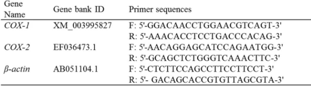 表 2-1 ． Real-time RT-PCR に用いたプライマーの配列