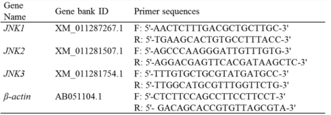 表 4-1．RT-PCR に用いたプライマーの配列 