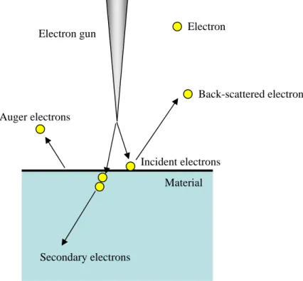 Fig. 4.2    Back-Scattered electron 