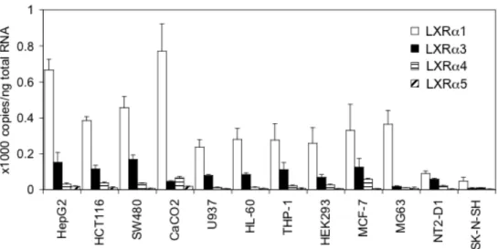 図 7   ヒト細胞株における LXR α 変異体の mRNA 発現量の定量 
