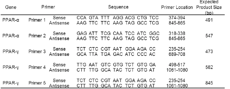 Table 2    Primer sequences and expected product size.  