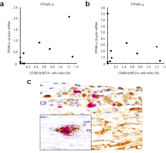 Figure 8.    Co mparison of the mRNA expression of PPAR-α (a) and PPAR-γ (b)  with the macrophage proliferation