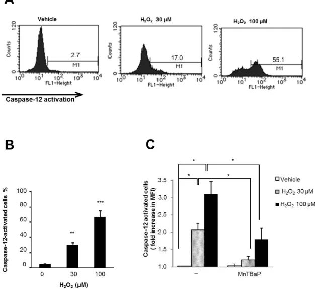 図 9 ． H 2 O 2 は O 2 -  産生を介して caspase-12 を活性化する 図 9 ． (A,B) A375 細胞を 30μM もしくは 100μM H 2 O 2 で 24 時間処理し、フロー サイトメトリを用いて細胞透過性基質である FITC-ATAD-fmk の切断を指標 として caspase-12 の機能活性を測定した。パネル A は代表的なヒストグラム を示す。 n=4, *p<0.05; **p<0.01 。   (C) A375  細胞を 30μM もしくは 